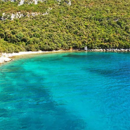 Apartmán Jaz Beach *